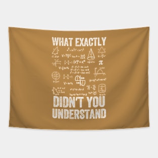 What Exactly Didn't You Understand, mathematics, Vintage style Tapestry