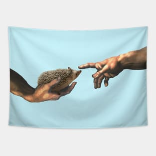 creation of a Hedgehog - michelangelo's parody Tapestry