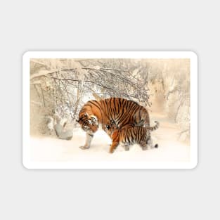 Image: Tiger family Magnet