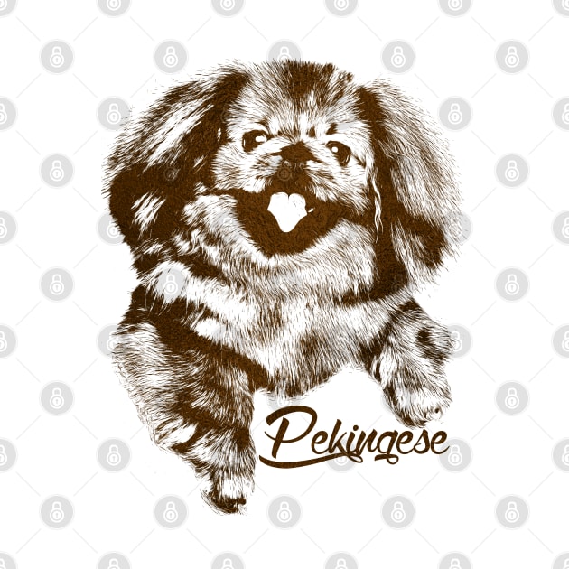 Cute Pekingese dog by Nartissima