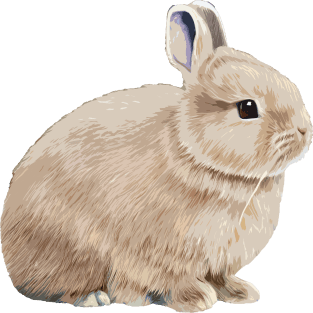 Cottagecore Beige White Otter Netherland Dwarf Rabbit Sticker