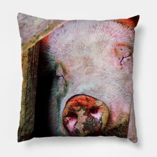 Pigs - Pig Sleeping Pillow