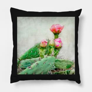 Cactus Pink Blooms Pillow