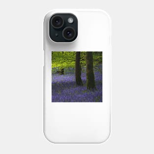 Bluebells in Knockmany Forest Phone Case