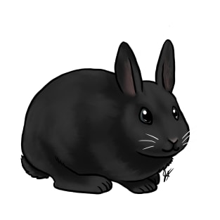 Small Mammal - Rabbit - Black T-Shirt