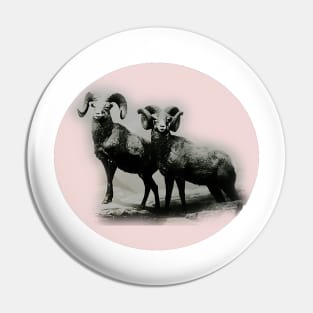 Mountain goats Pin