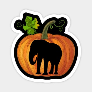 Elephant in pumpkin Magnet