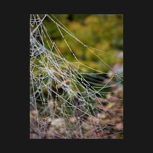 A wet spiderweb T-Shirt