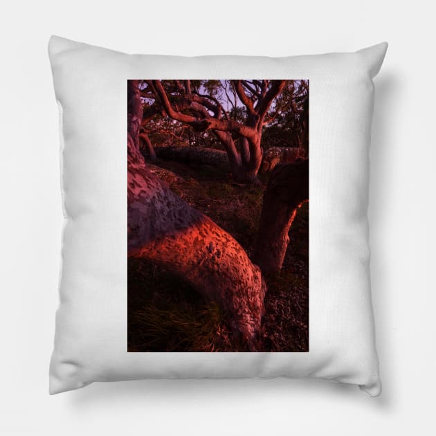 Unnatural Nature Pillow by Geoff79