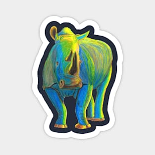 Crash of Rhinos Water Boy Puddles Magnet