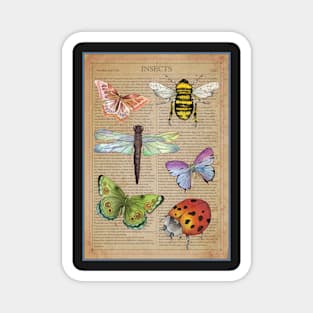 All About Insects Magnet