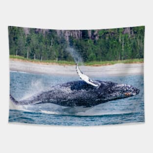 Breaching Humpback Whale in Alaska Tapestry