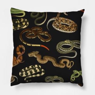 vintage snake pattern Pillow