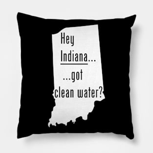 Indiana - Got Clean Water? Pillow