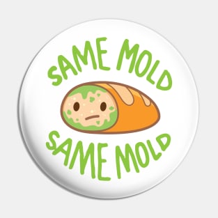 Same old, same mold! Pin