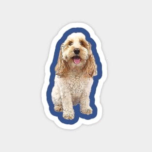 Cockapoo Cockerpoo Cutie Doodle Dog Magnet