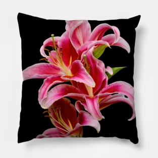 Elegant Hot Pink Oriental Lilies Pillow