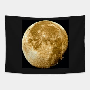 Moon Tapestry