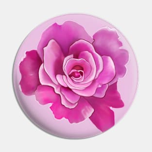 Pink Rose Drawing Pin