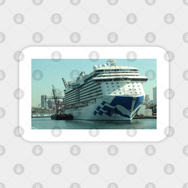 Cruise ship Magnet by Laybov