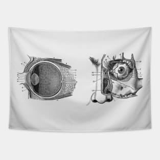 Human Eye Anatomy Tapestry