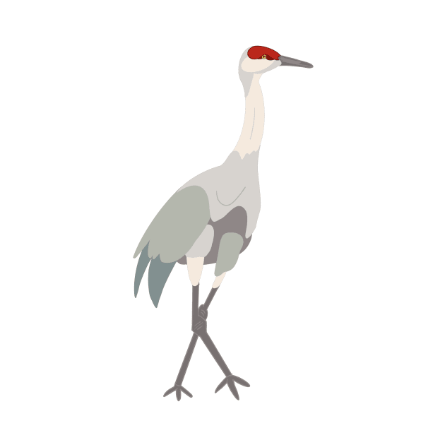 Sandhill Crane - Drawing by eeliseart