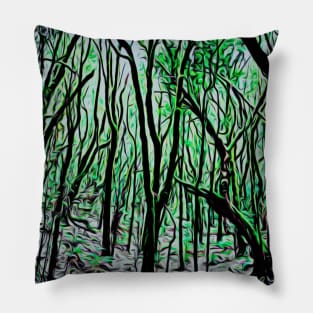 garayonay national park la gomera Pillow