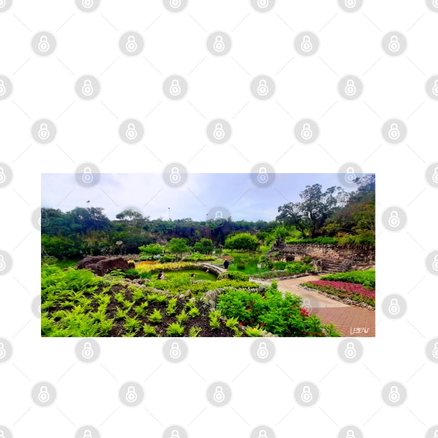 zen garden in japanese wetland park photograph art by jorge_lebeau