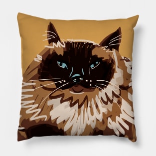 Sweet blue eyed Himalayan Cat Pillow