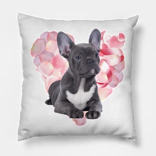 Cute French Bulldog! Especially for Frenchie owners! Pillow