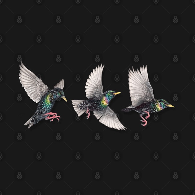 Starling Trio by somekindofguru