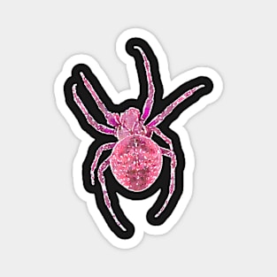 Pink Spider Orb-Weaver Watercolor Style Magnet