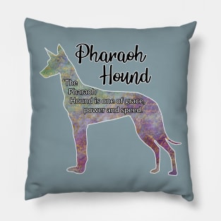 Pharaoh Hound Pillow