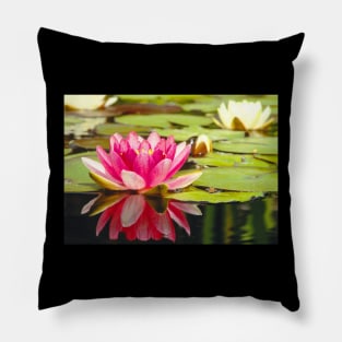 Meditation Wall Art Print - Water Lily Meditation - canvas, Photo print, artboard print, poster Canvas Print Pillow