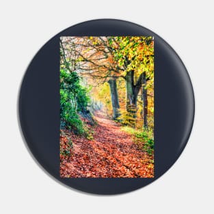 Autumn Leaves Walk Pin