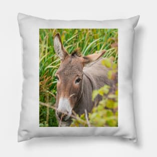 Donkey Pillow