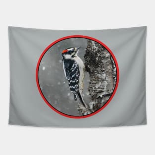 Downy Woodpecker in Snow Photograph Tapestry