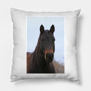 Colorful Horse with blue sky Pillow