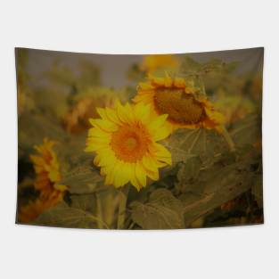 Old Fashion Sun Flowers Tapestry