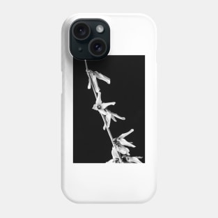 Forsythia Flowers 1 Phone Case