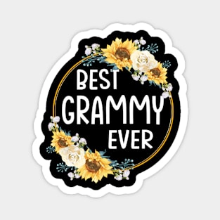 best grammy ever Magnet