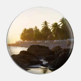 rocky beach and cliff with palm trees Pin