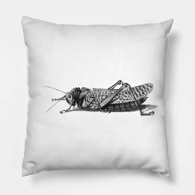 Locust Pillow by Marccelus