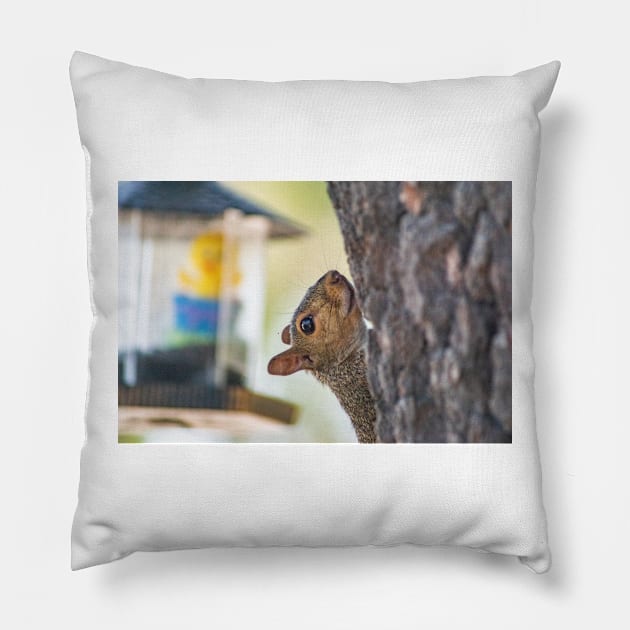 Shallot Pillow by KensLensDesigns