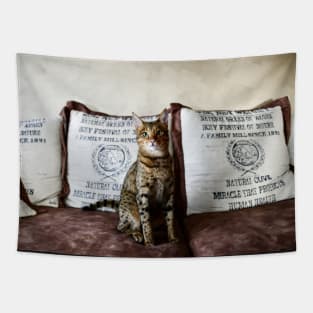 Savannah Cat 2 / Swiss Artwork Photography Tapestry