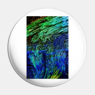 water weeds Pin