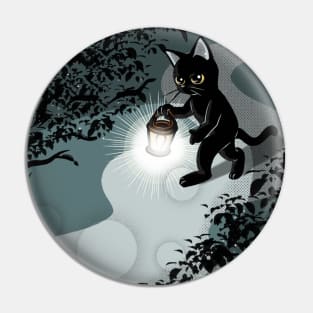 Go On A Walk At Night Pin