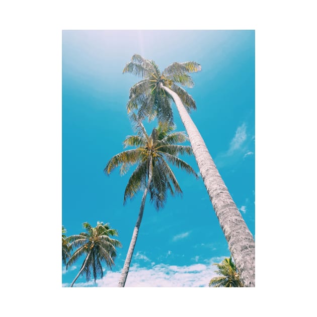 Fresh Palm Trees by NewburyBoutique