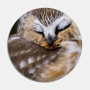 Northern Saw Whet Owl - Ottawa, Canada Pin