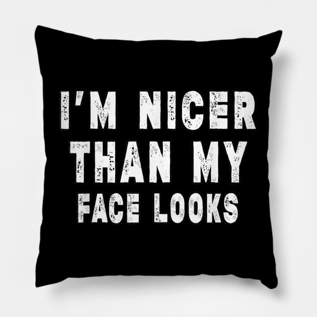 Funny I'm Nicer Than My Face Looks, Funny Sarcastic Pillow by Robertconfer